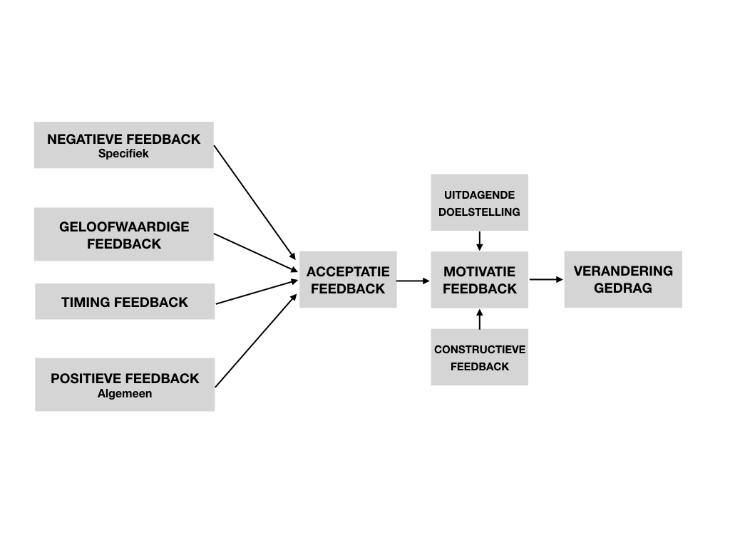 feedback organigram