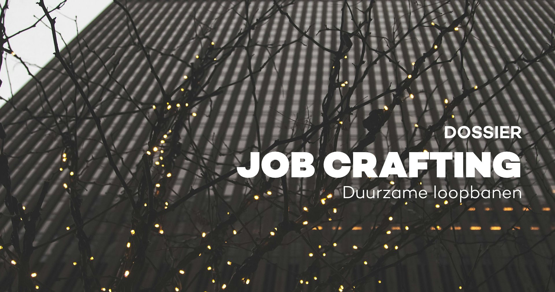 Job crafting. Maak van de job die je hebt, de job die je wil!