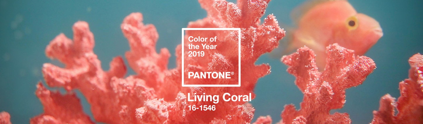 Pantone color of the year